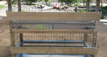 Jak vyrobit klec pro křepelky + přehled hotových možností